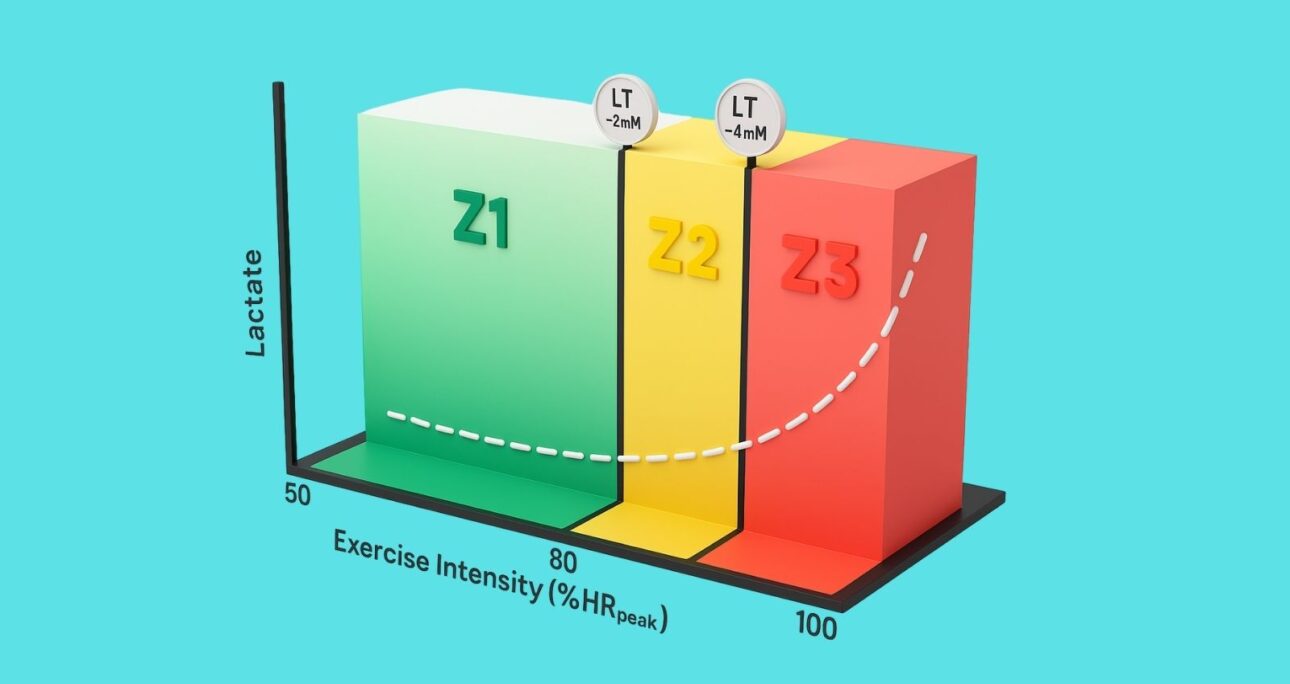 Mô Hình Tập Luyện Phân Cực (Polarized Training): Tối Ưu Hóa Hiệu Suất Bền Bỉ