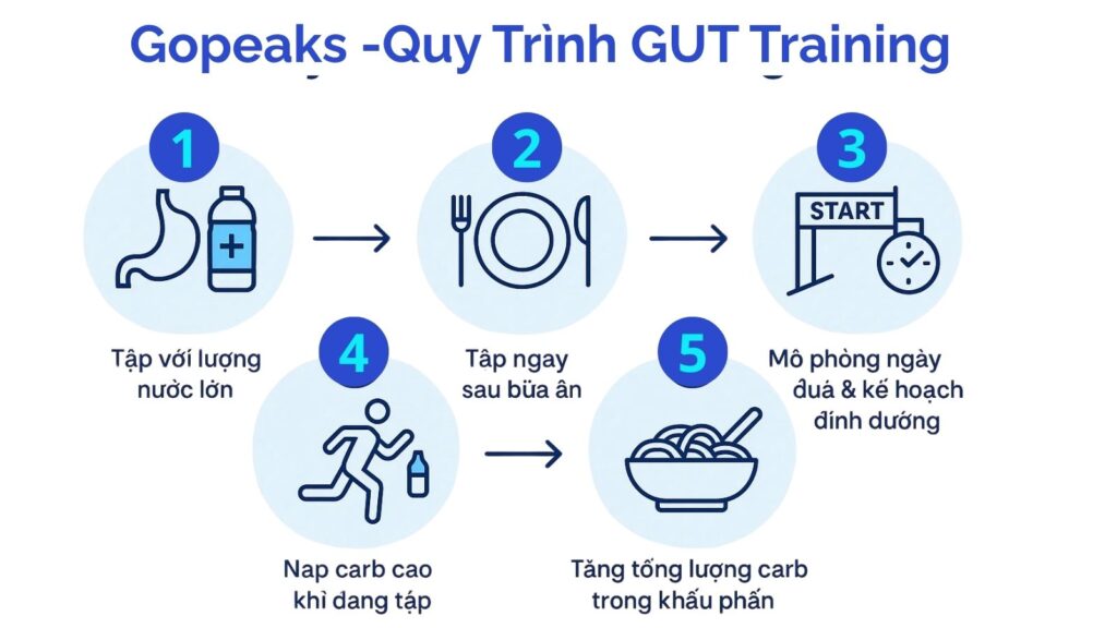 Gut Training là quá trình "rèn luyện" hệ tiêu hóa để có thể hấp thụ năng lượng hiệu quả dưới áp lực thi đấu. Một quy trình đúng sẽ là vũ khí bí mật giúp bạn tránh được các vấn đề dạ dày.